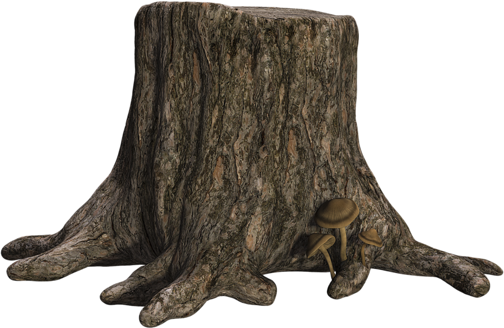 Tree Stumpwith Mushrooms PNG