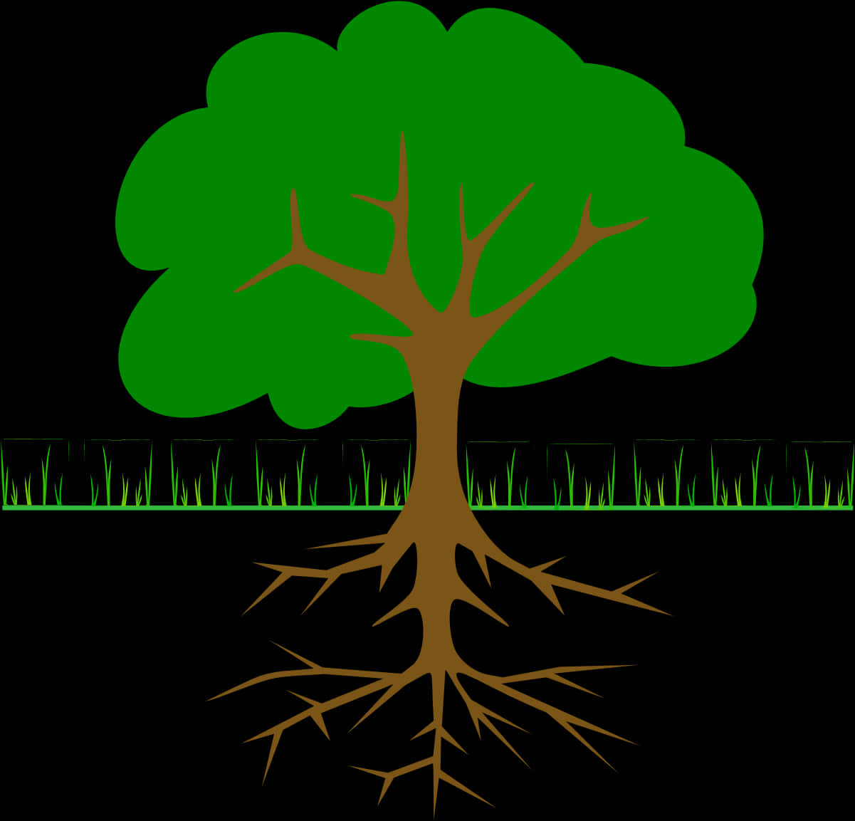 Tree_with_ Exposed_ Roots_ Vector PNG