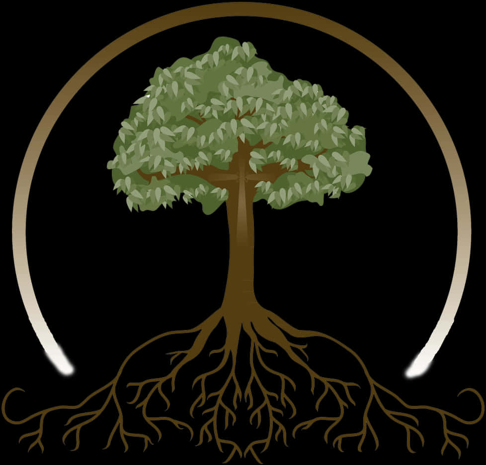 Tree_with_ Extensive_ Roots_ Vector PNG