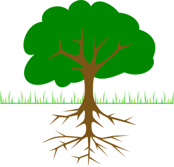 Tree_with_ Roots_ Vector_ Graphic PNG