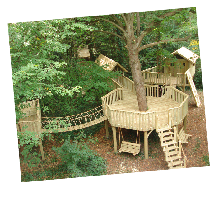 Treehouse Playgroundin Forest PNG