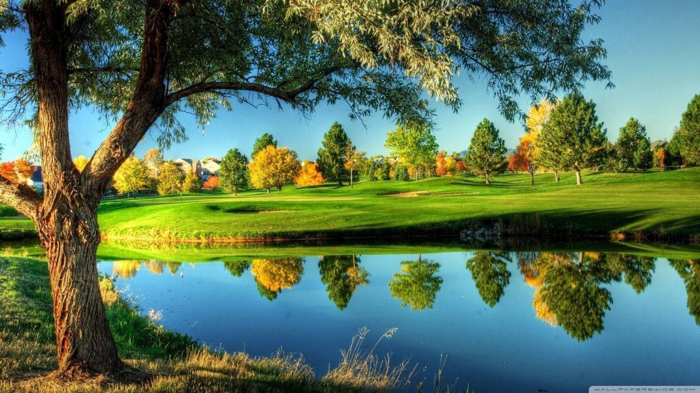 Trees And Lake Golfing Desktop Wallpaper