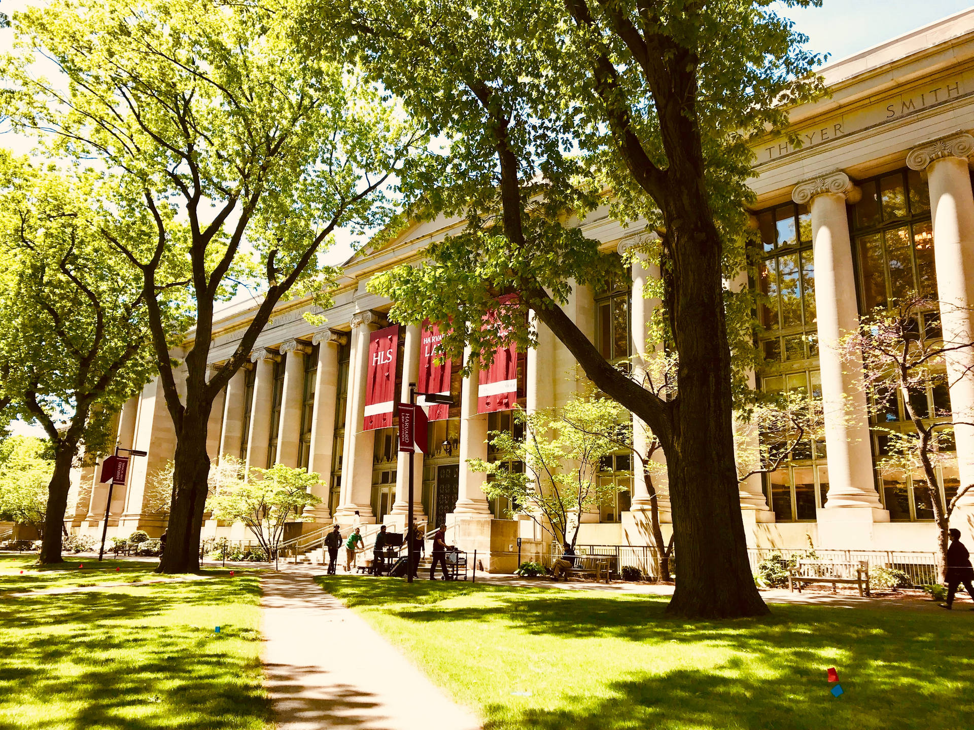 Árbolesalrededor De La Escuela De Derecho De La Universidad De Harvard Fondo de pantalla