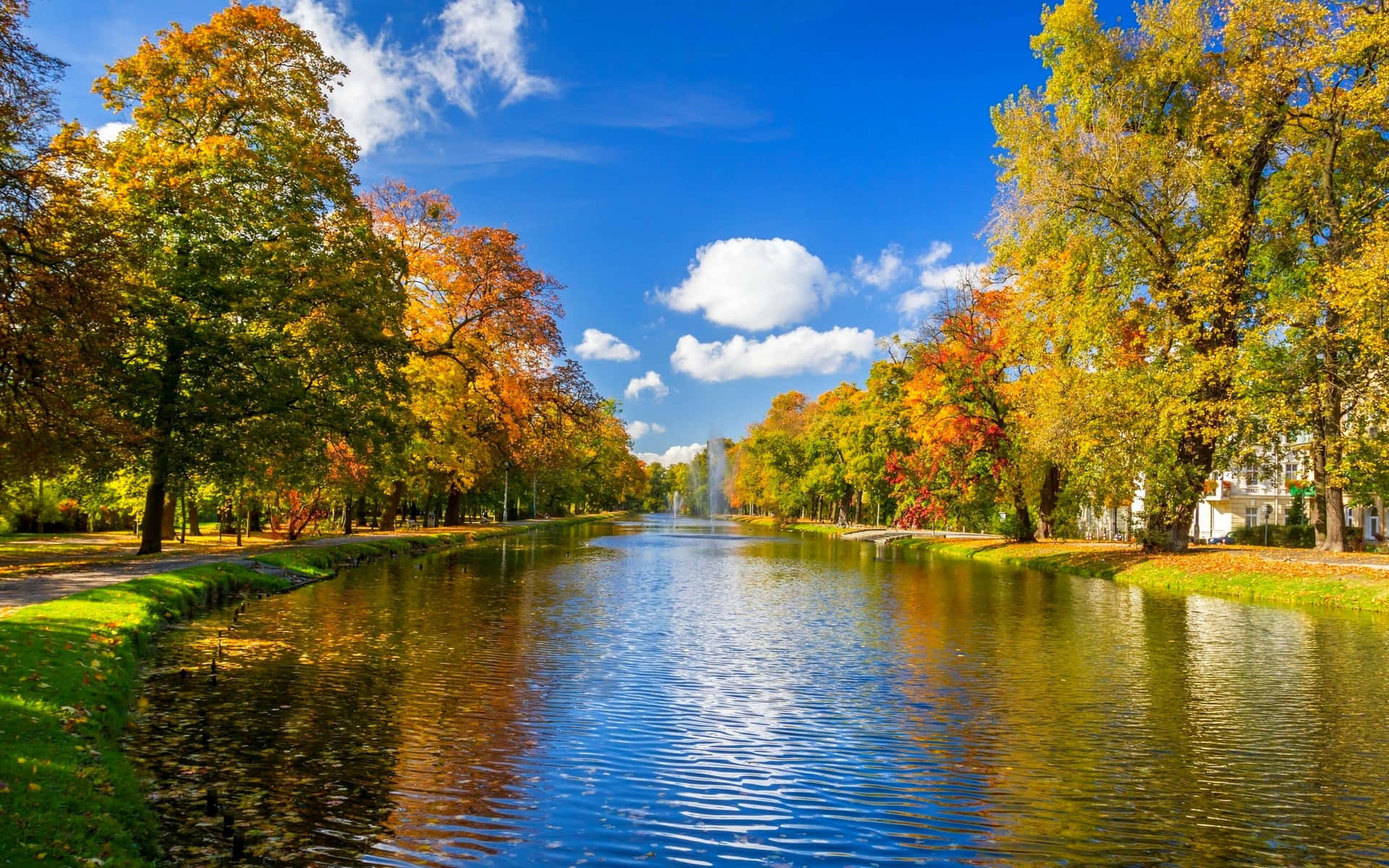 Lake And Autumn Park Surrounded With Trees Wallpaper