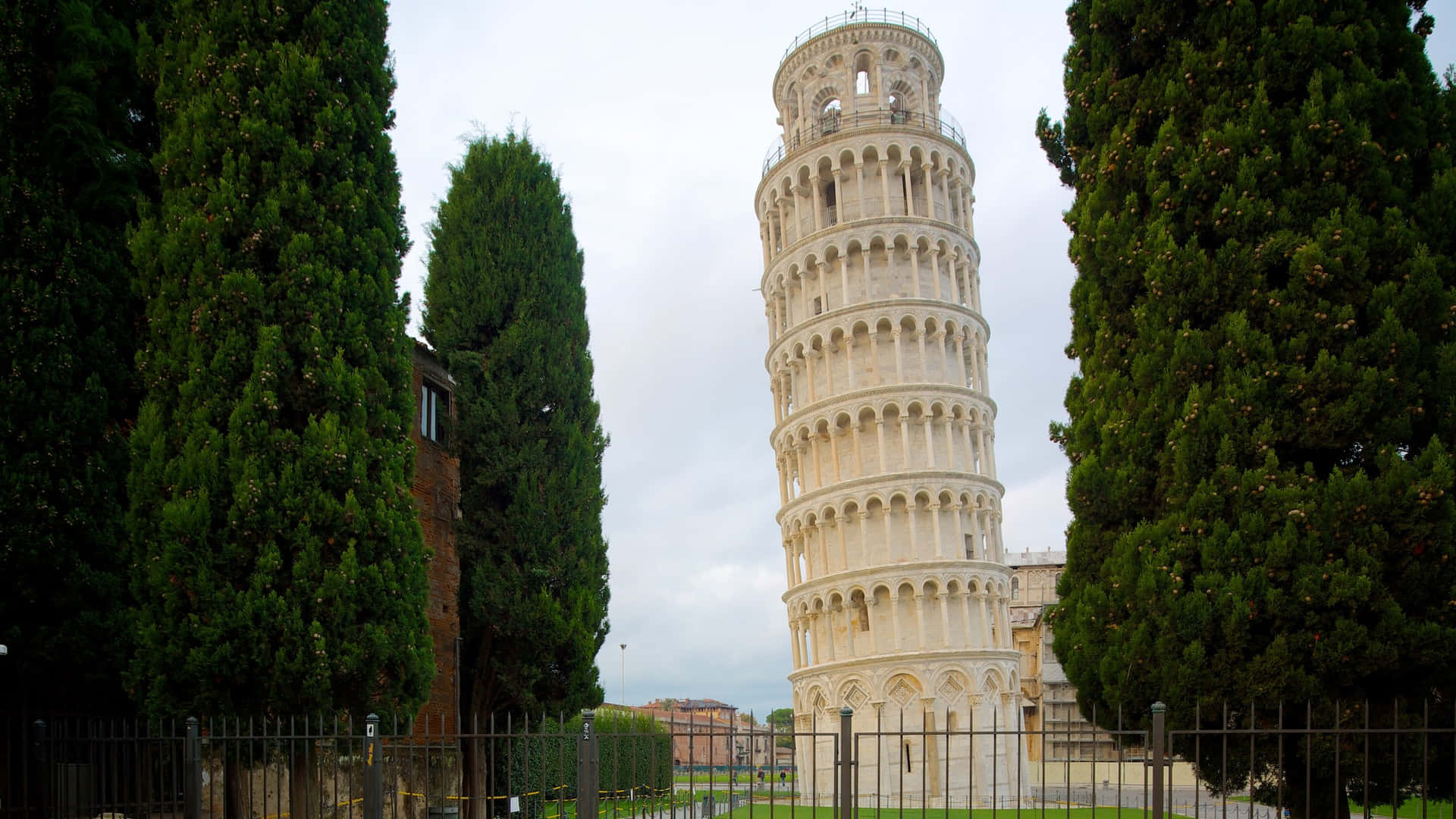 Trees Surrounding Tower Of Pisa Wallpaper