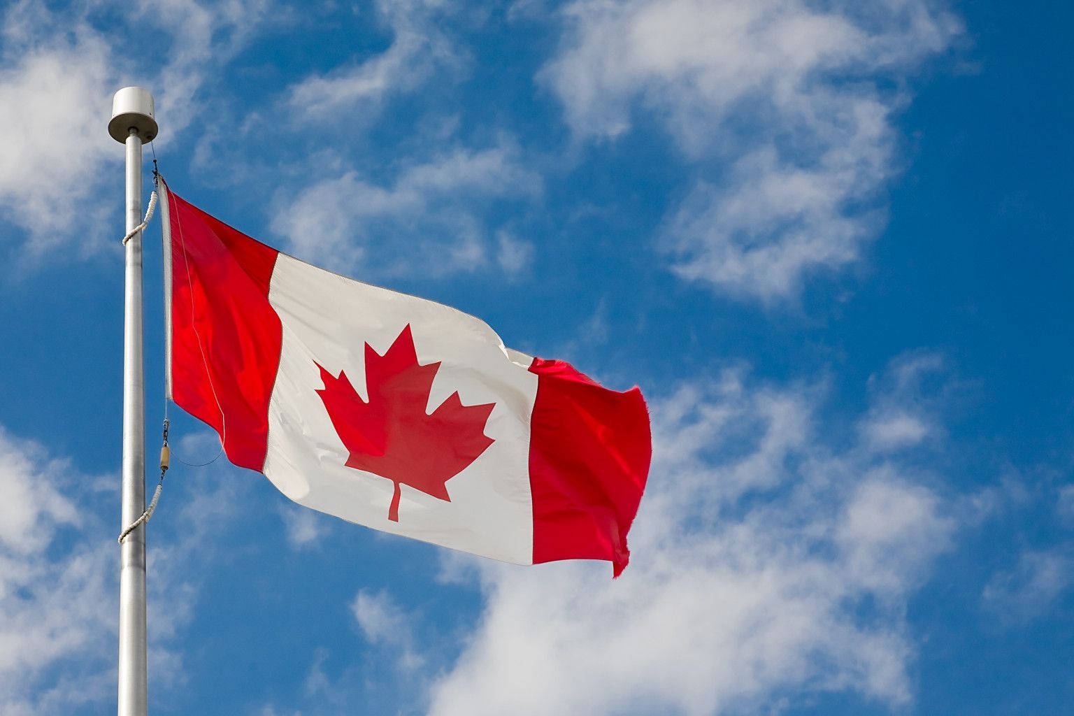 Trending Canada Flag On Pole Picture
