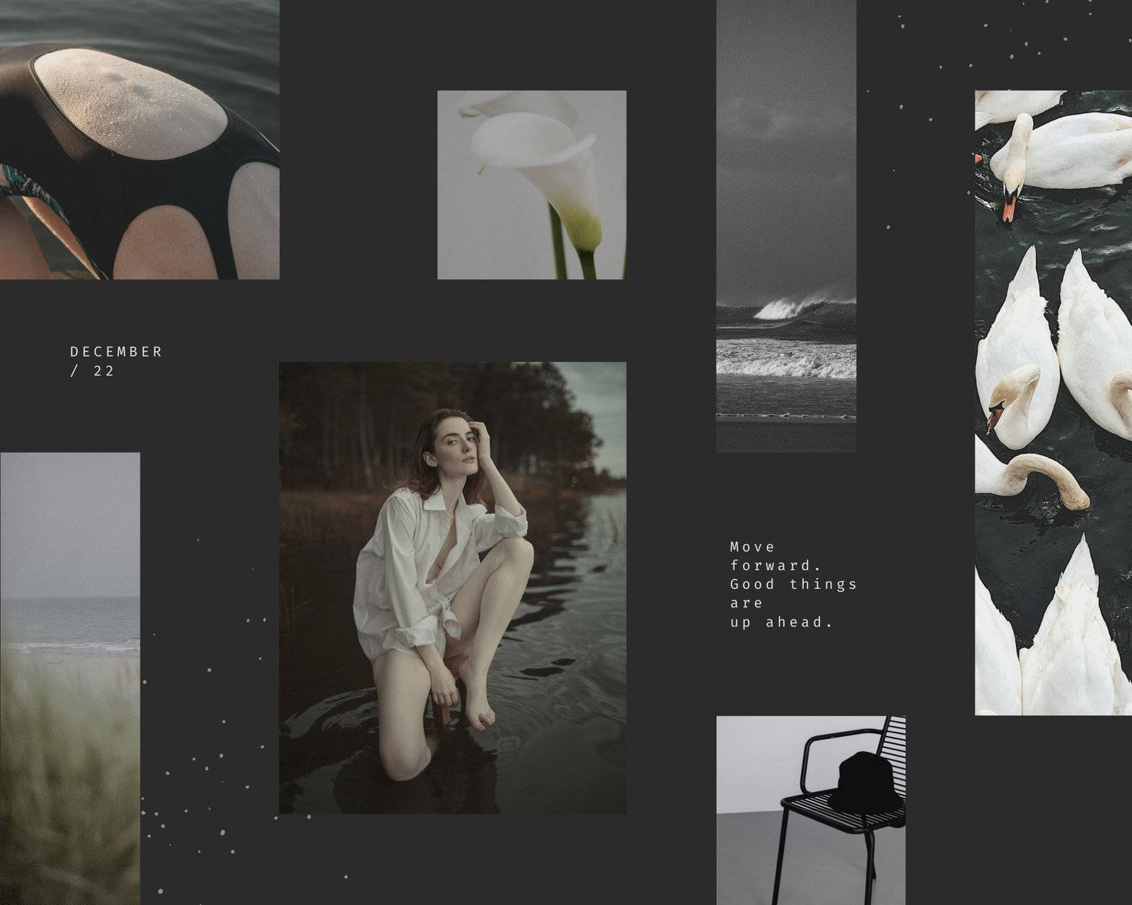 A Black And White Photo Collage With A Woman And Swans Wallpaper