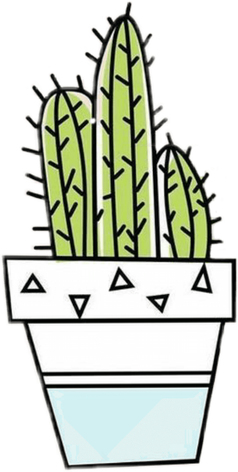 Trendy Cactus Illustration PNG