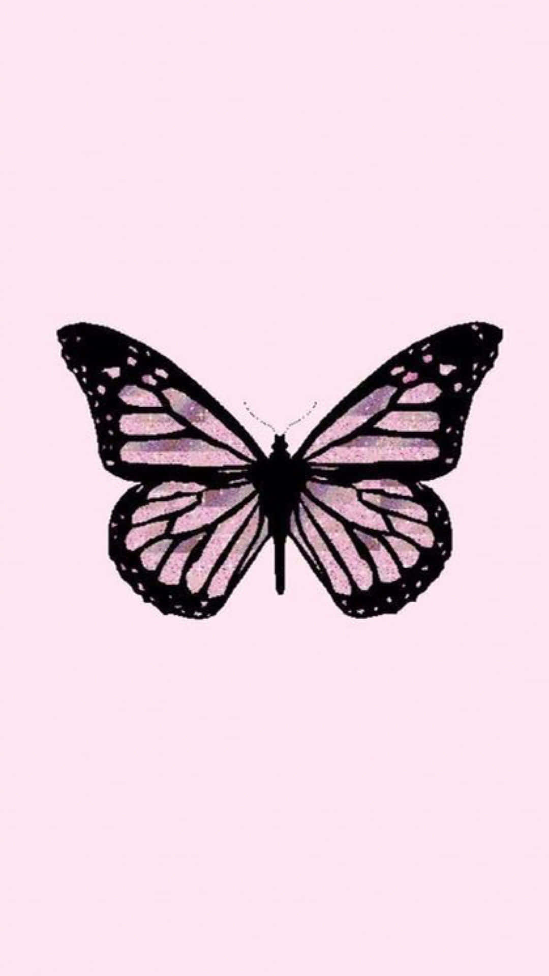 A Butterfly On A Pink Background Wallpaper
