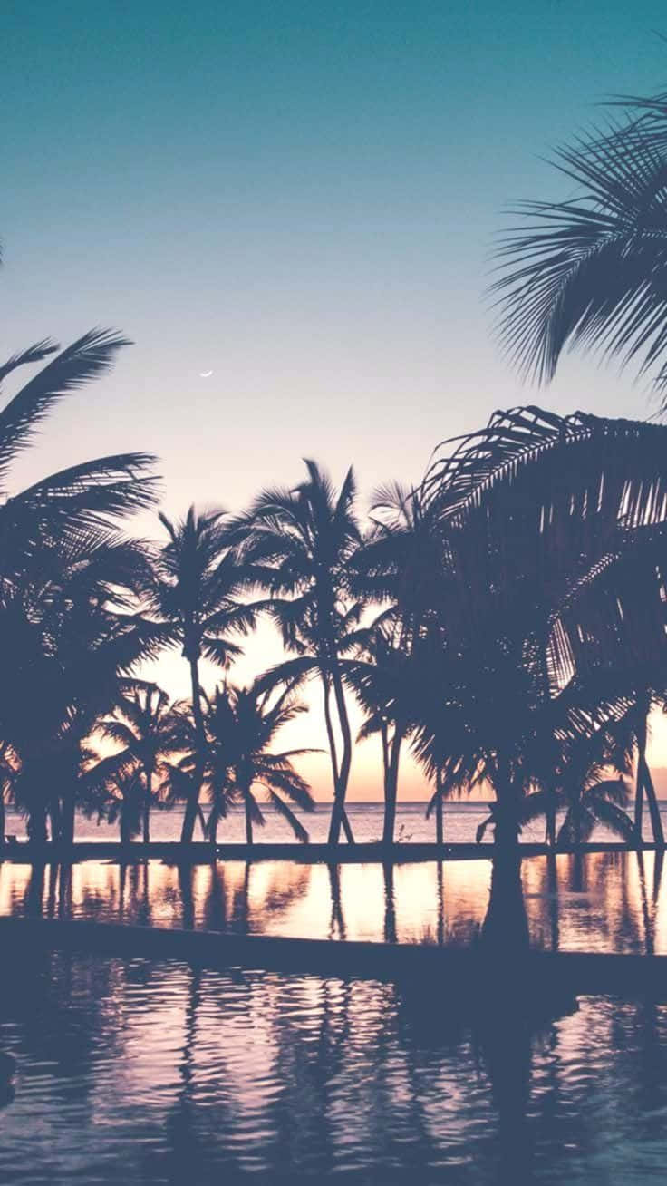 A Sunset With Palm Trees And A Pool Wallpaper