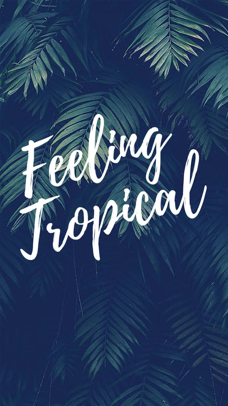 Feeling Tropical Trendy Summer Iphone Wallpaper