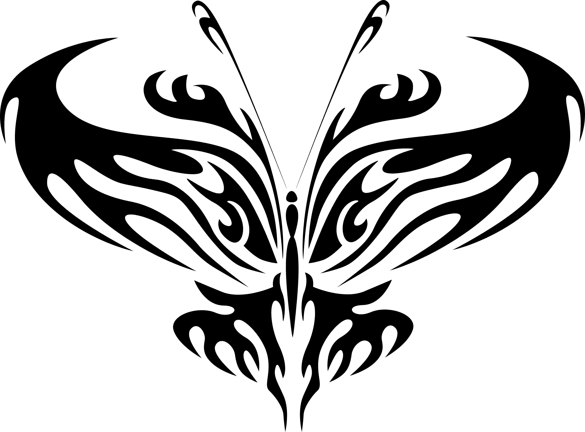 Tribal Butterfly Outline PNG