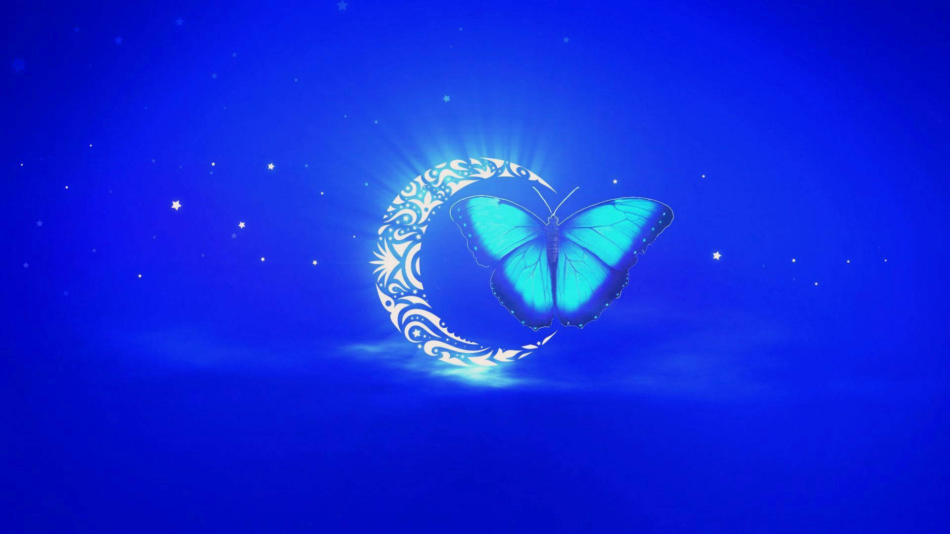 Lunatribal Mariposa Nocturna Fondo de pantalla