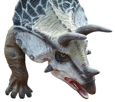 Triceratops_ Model_ Closeup PNG