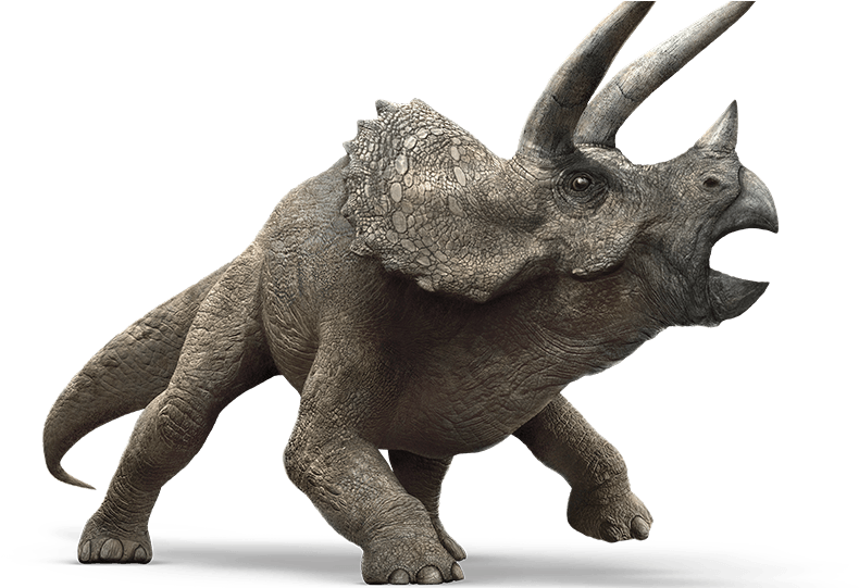 Download Triceratops Model Jurassic World | Wallpapers.com