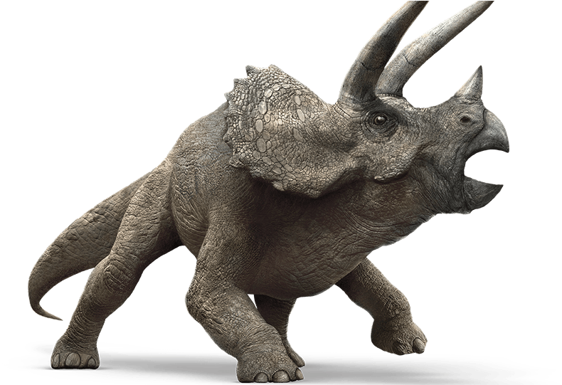 Triceratops Model Jurassic World PNG