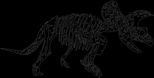 Triceratops Skeleton Outline PNG
