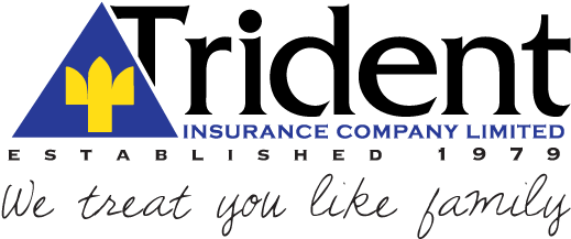 Trident Insurance Company Logo PNG