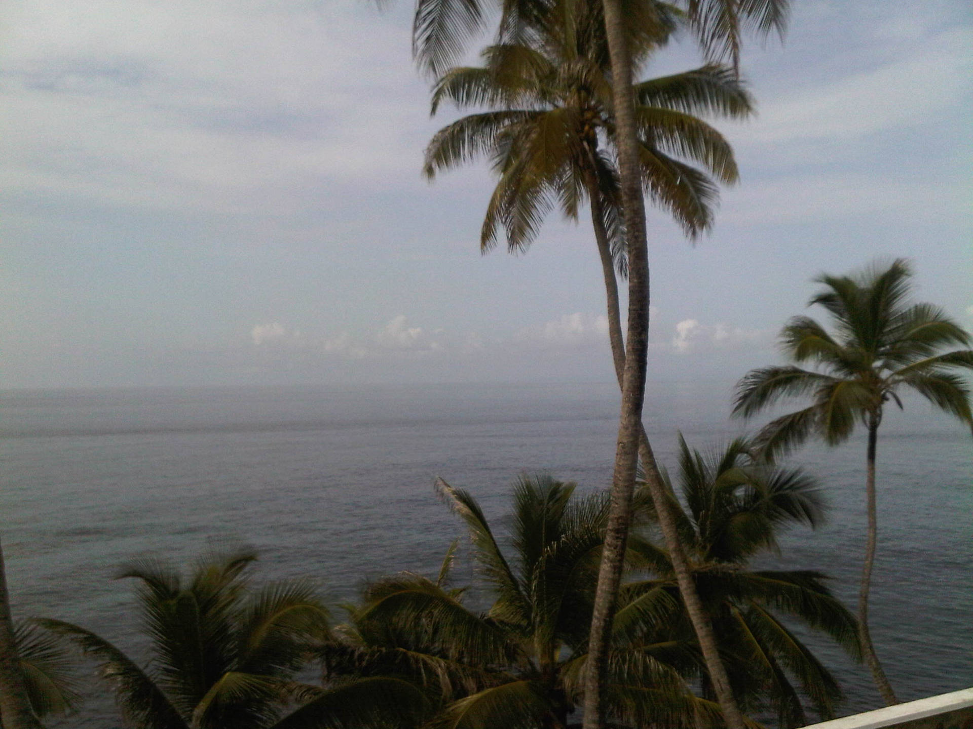 Trinidady Tobago - Playa Bacolet. Fondo de pantalla