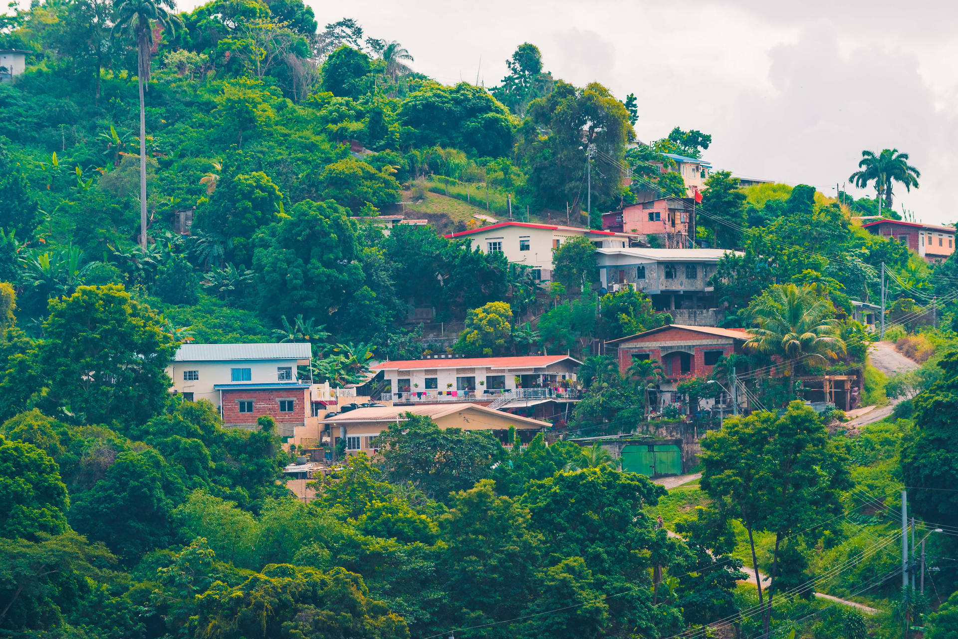 Trinidad And Tobago Hillside Houses Wallpaper