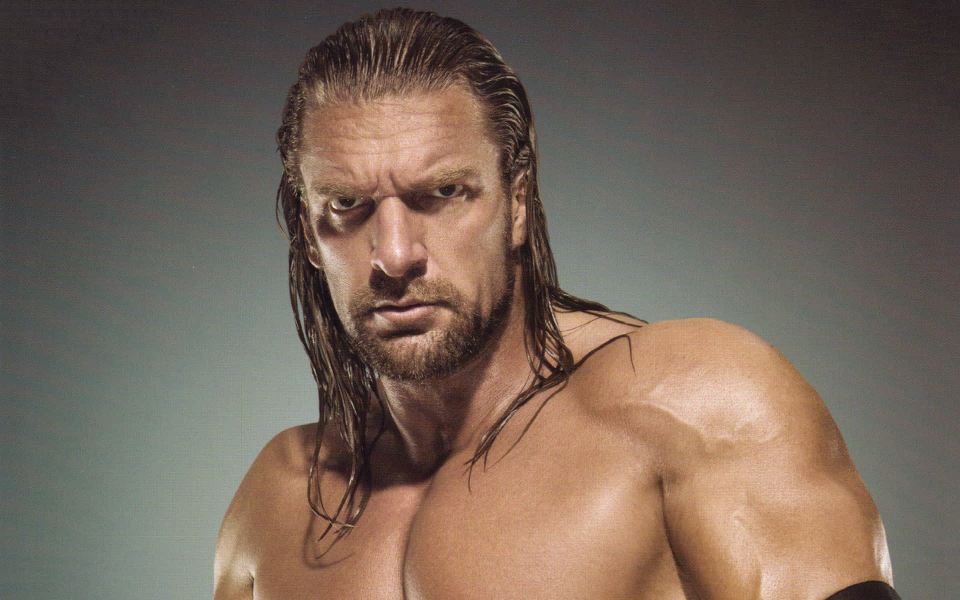 Retratode Triple H Em Cinza Diminuído. Papel de Parede