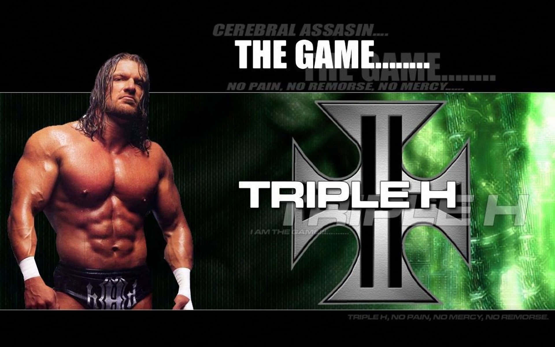 Triple H The Cerebral Assassin Wallpaper