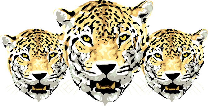 Triplet Leopard Illustration PNG