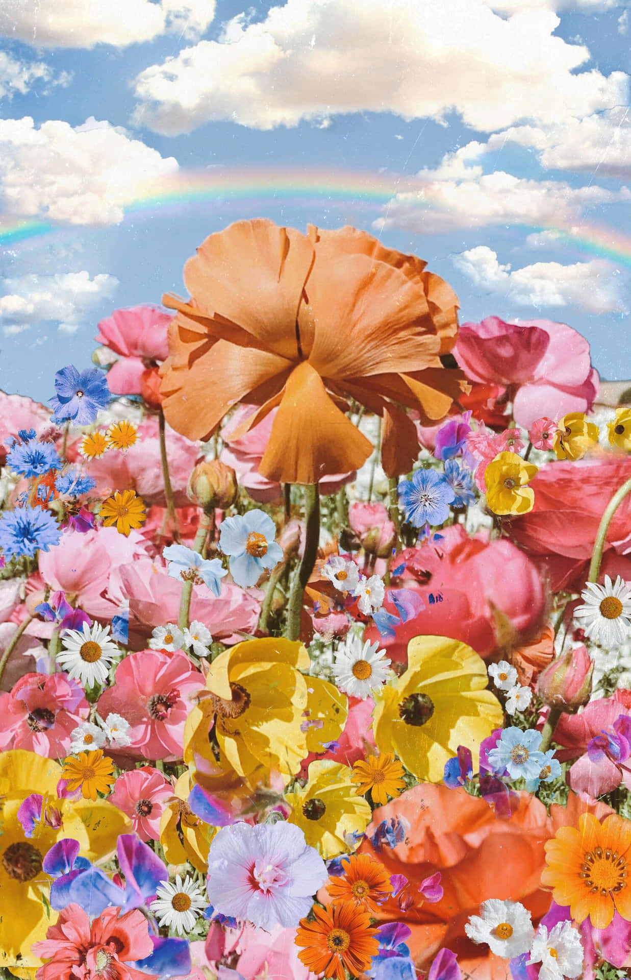 Psychodelischeästhetische Wolken Mit Blumen Wallpaper