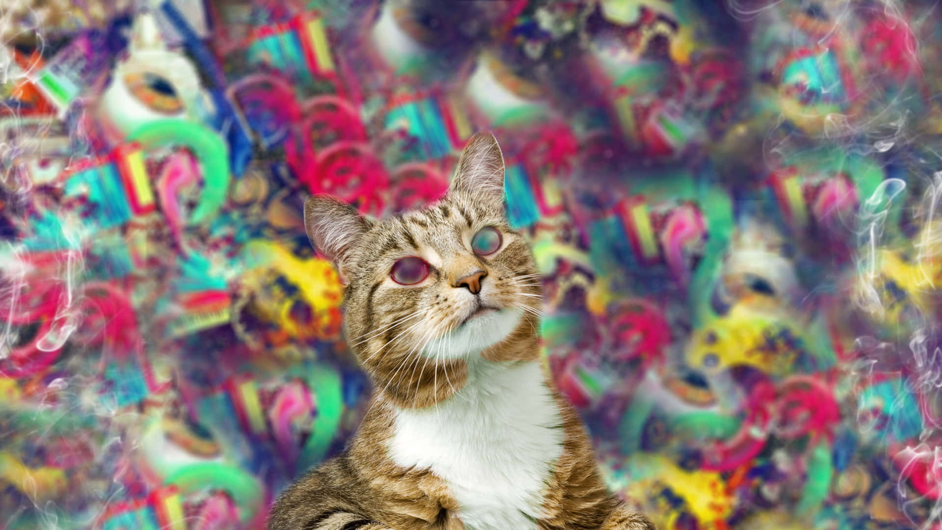 Vibrant Colors Create a Trippy Animal Wonderland Wallpaper