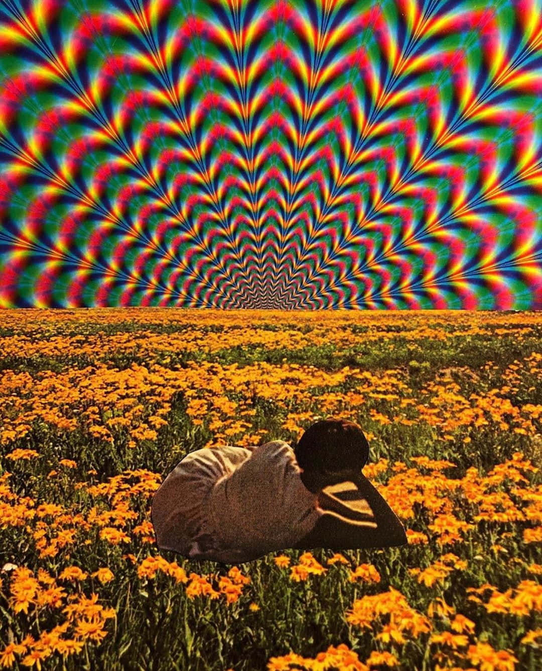 Surreal Trip through a Colorful Psychedelic Landscape Wallpaper