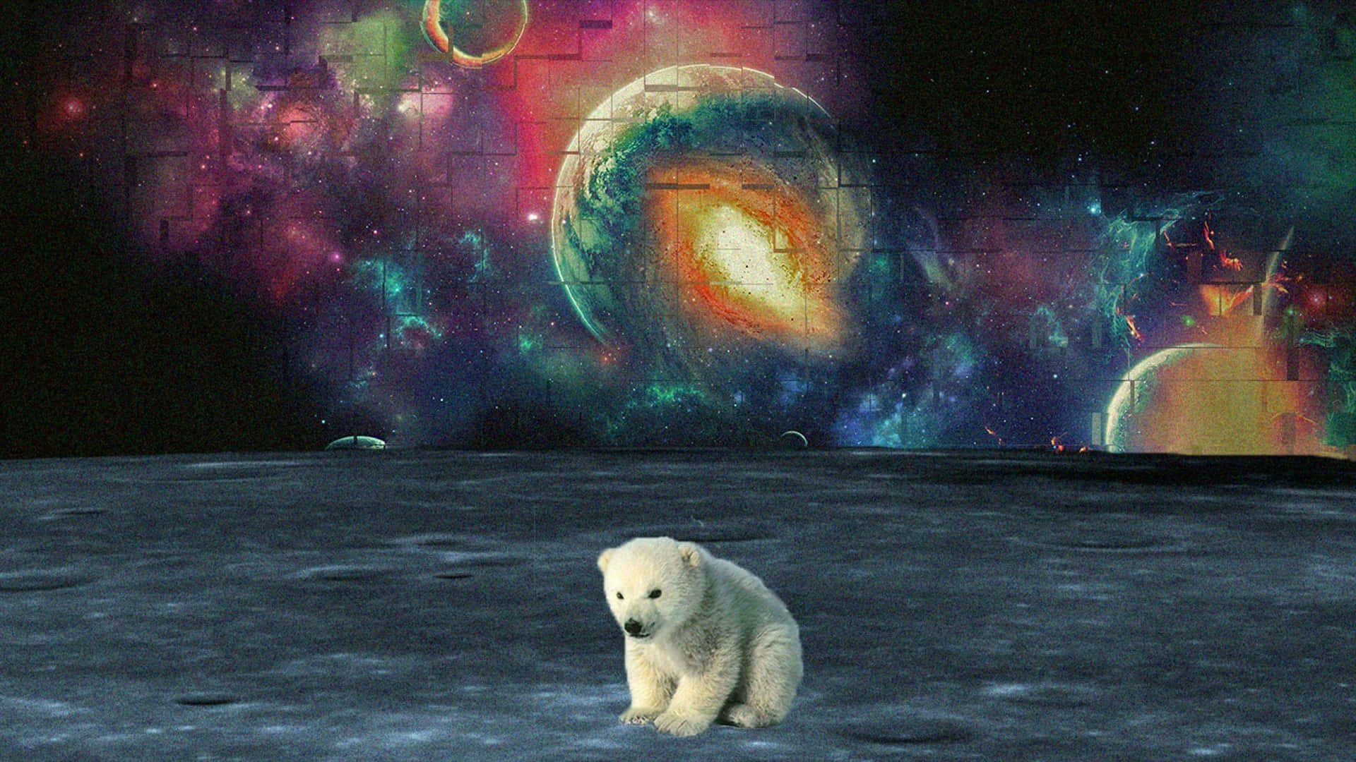 Galaxiapsicodélica Con Un Oso Polar. Fondo de pantalla