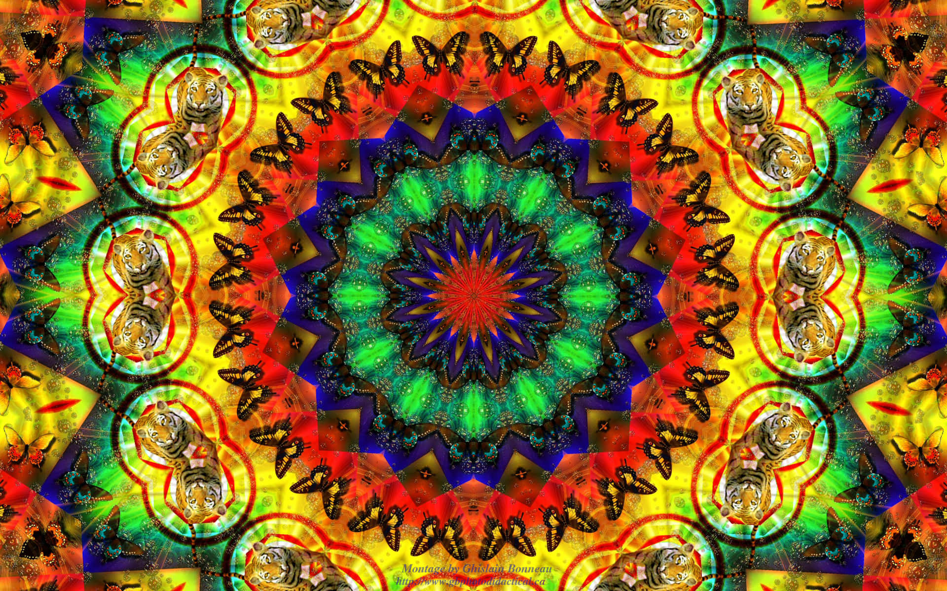 Et farverigt psykedelisk design med et cirkelmønster Wallpaper