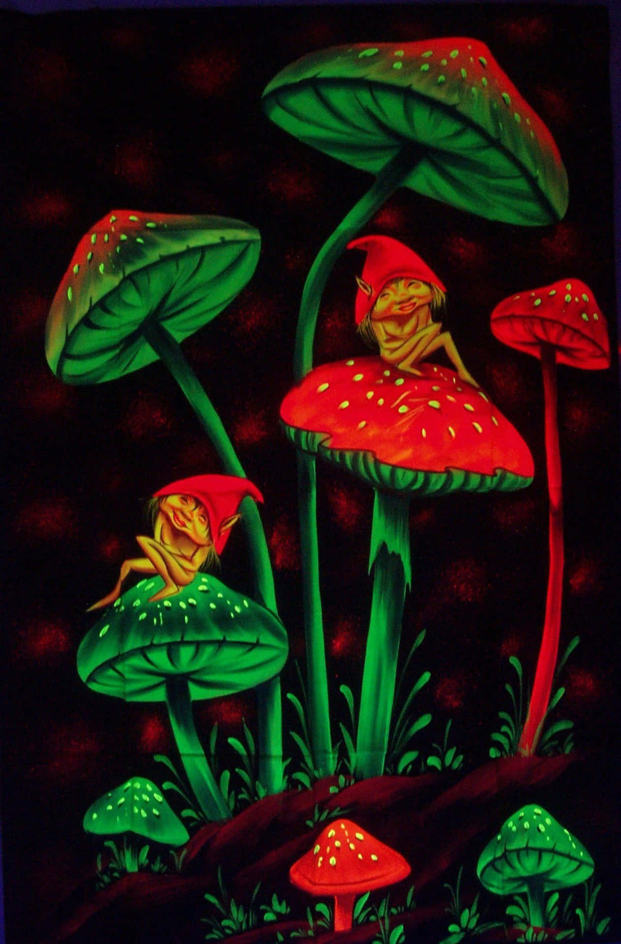 Magical mushrooms that spark the imagination Wallpaper