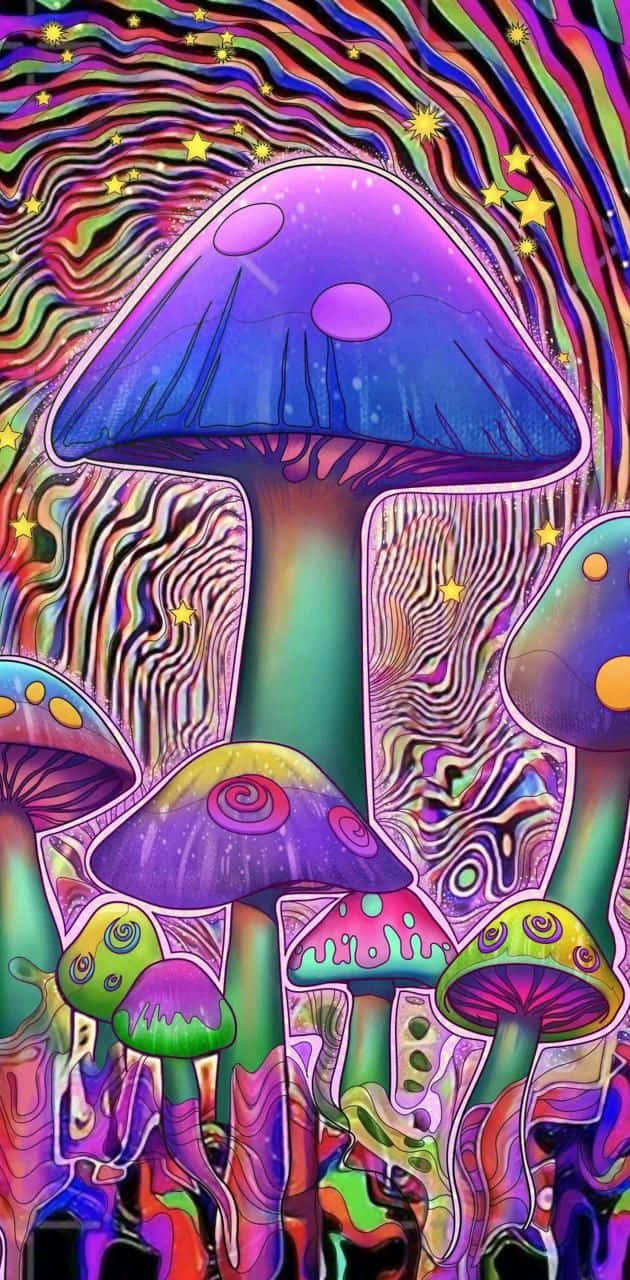 colorful mushrooms wallpaper