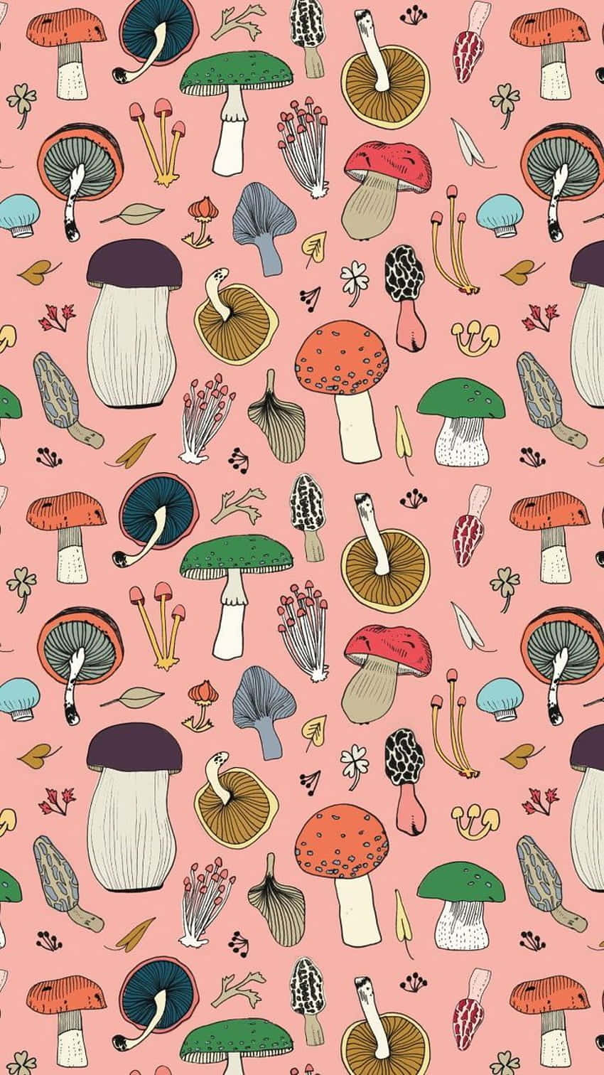 Surreal Trippy Mushroom Fantasy Wallpaper