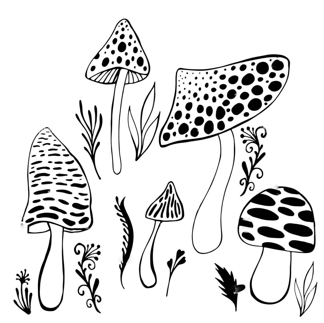 A surreal and beautiful illustration of trippy mushrooms