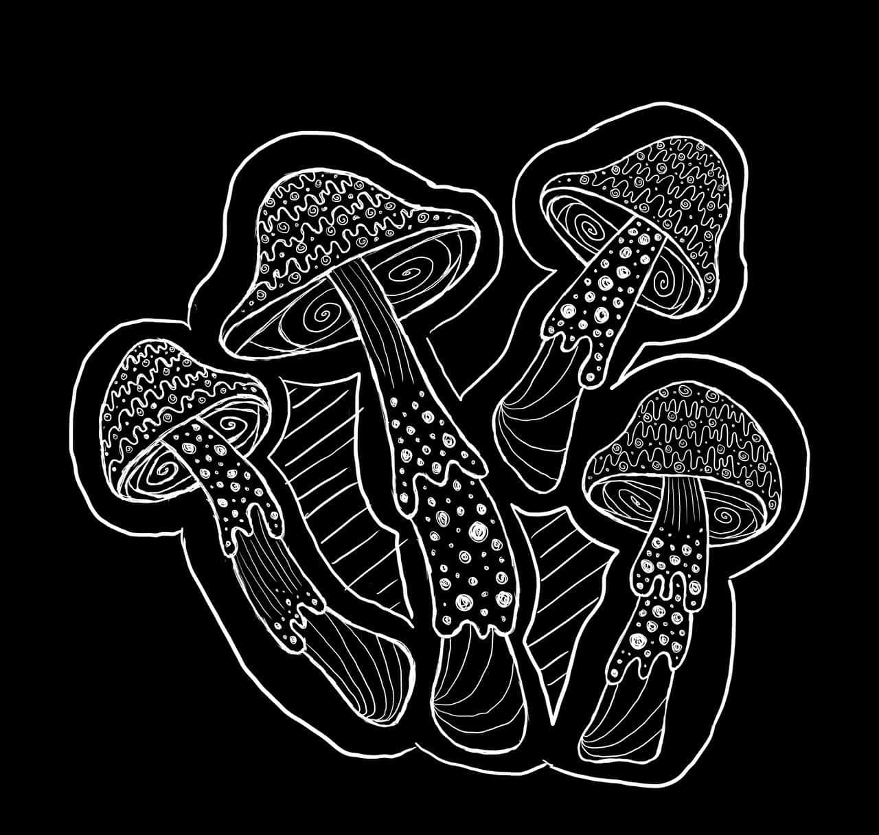trippy mushrooms sketches