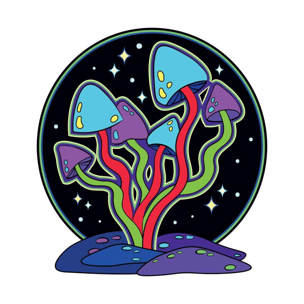 Exploring a Mystical World of Trippy Mushrooms