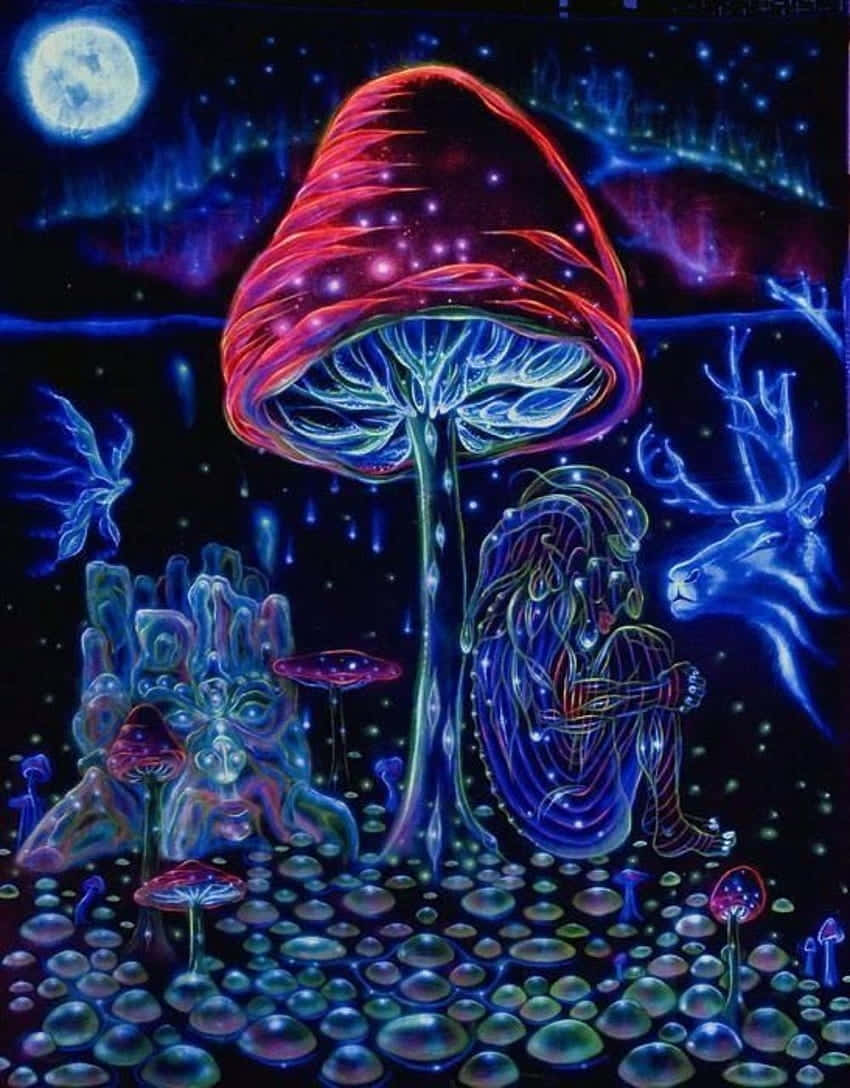 Unlock A Psychedelic Experience With Trippy Mushrooms