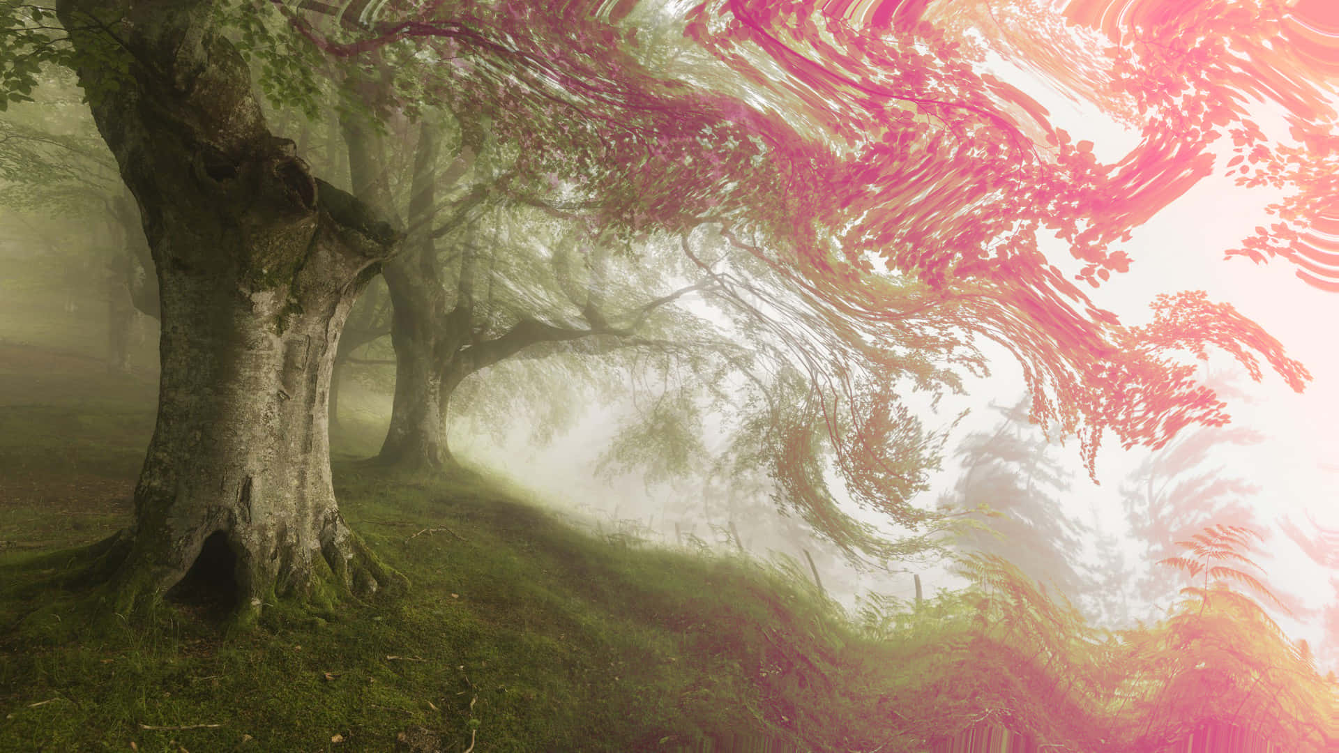 Mystical Forest in Vibrant Hues Wallpaper