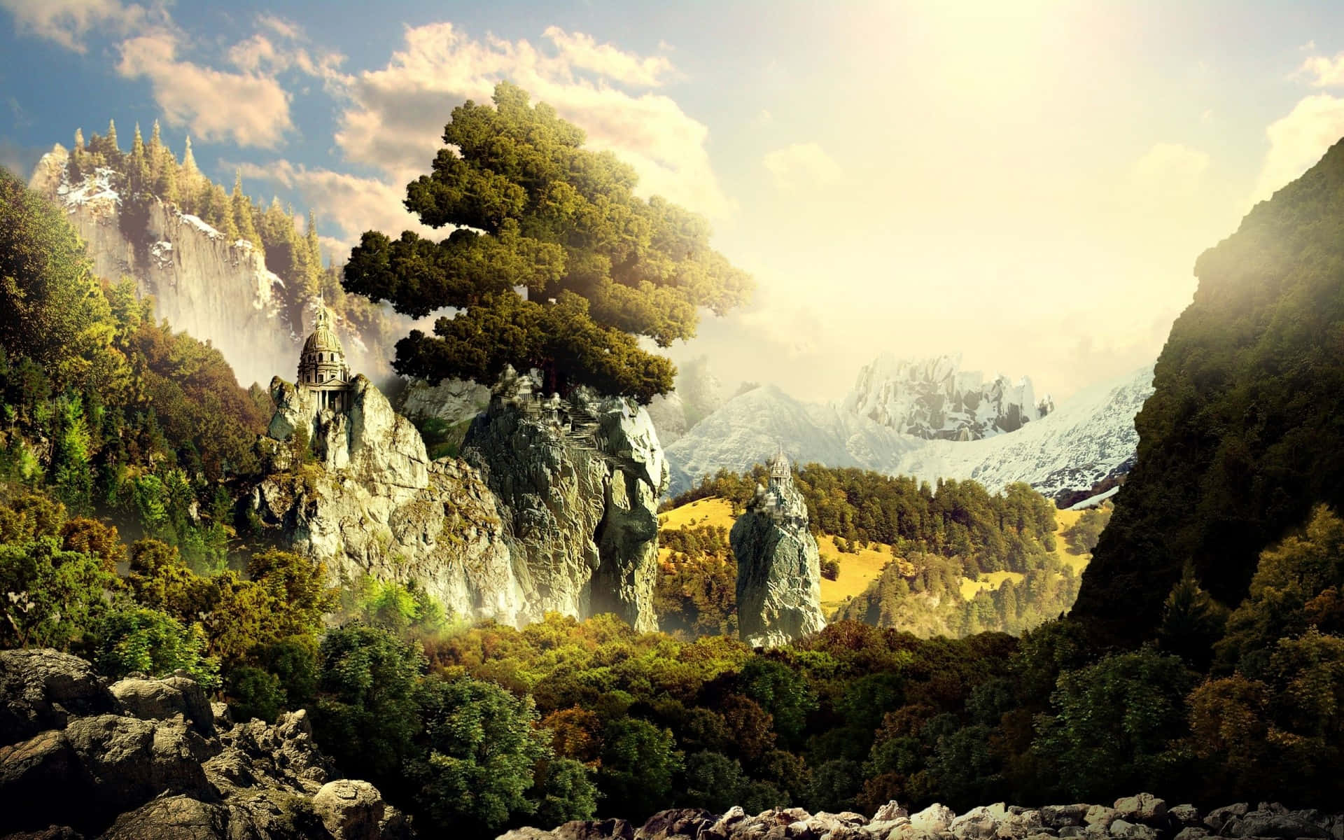 Surreal Mystical Forest Scene Wallpaper