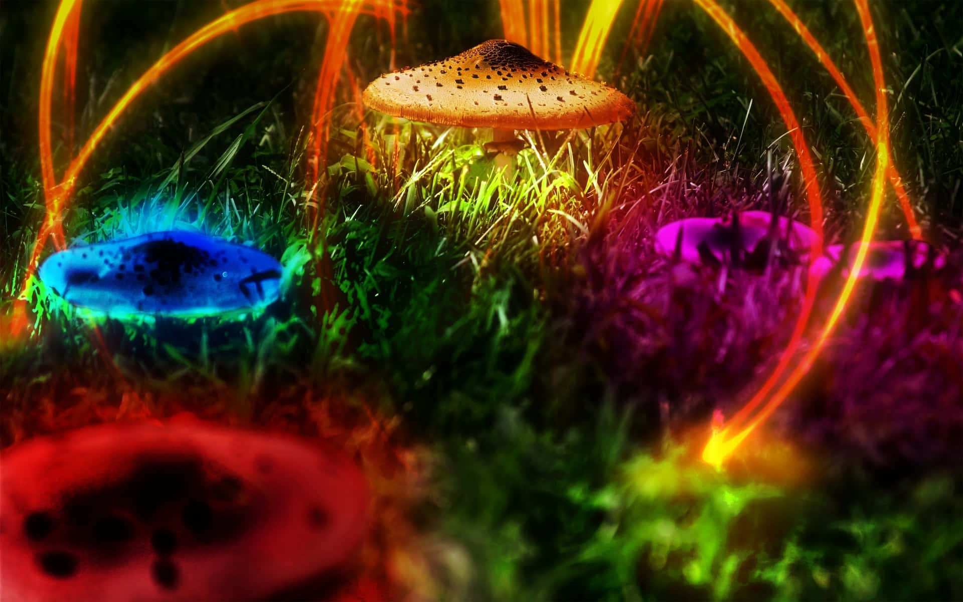 A Surreal and Vibrant Display of Nature's Wonders Wallpaper