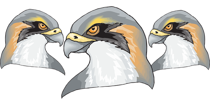 Triptych Eagle Heads Artwork PNG