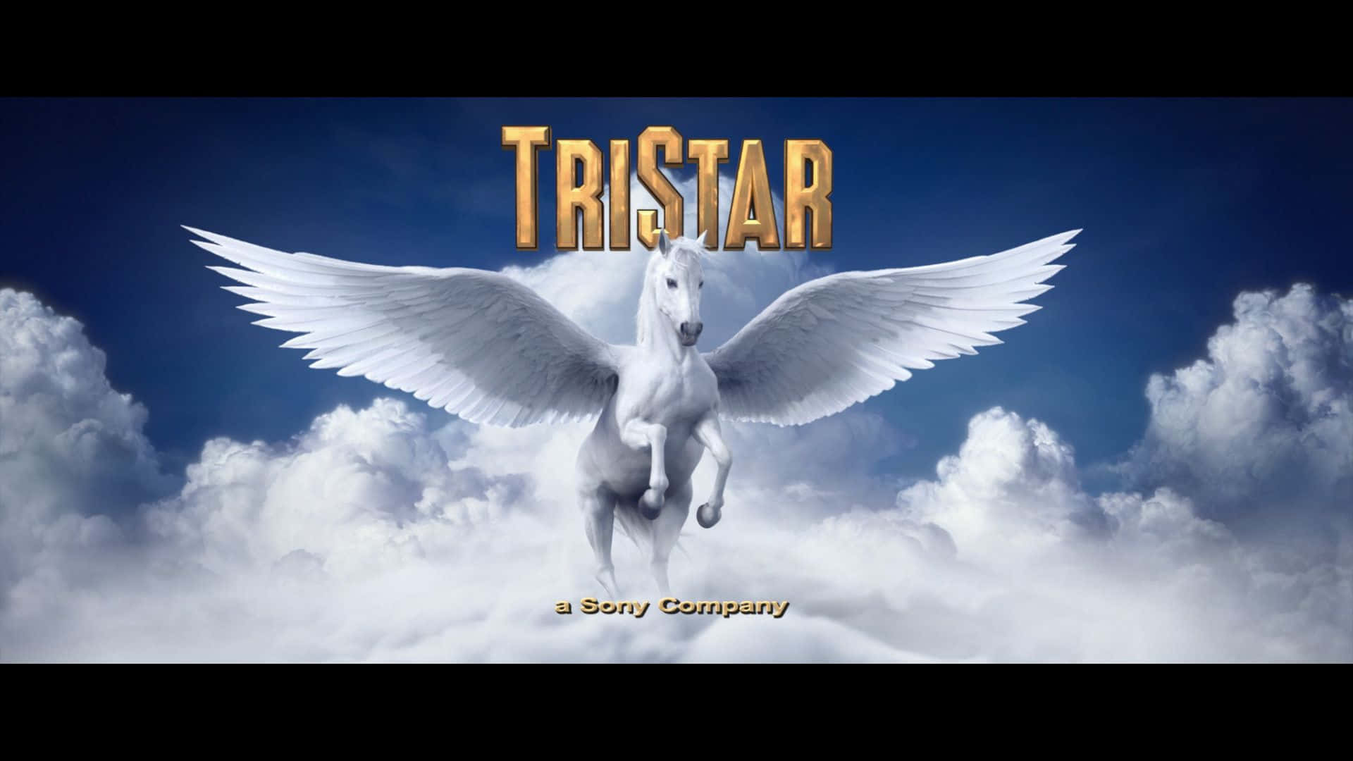 Tristar Horse In Blue Sky Picture