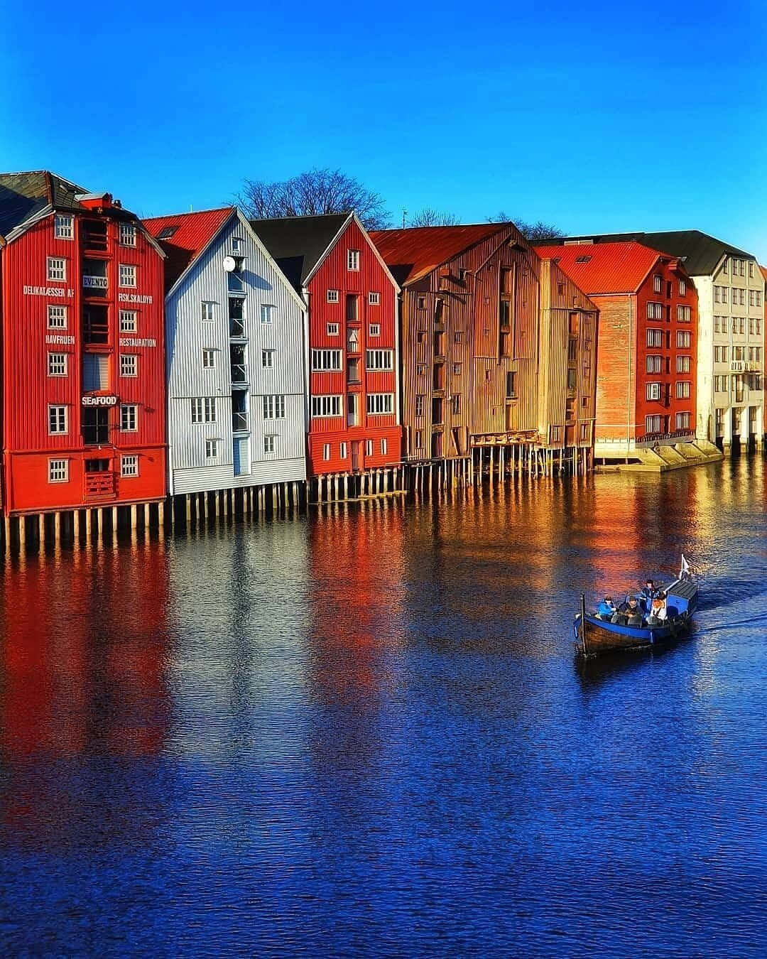 Trondheim Norway Colorful Waterfront Wallpaper