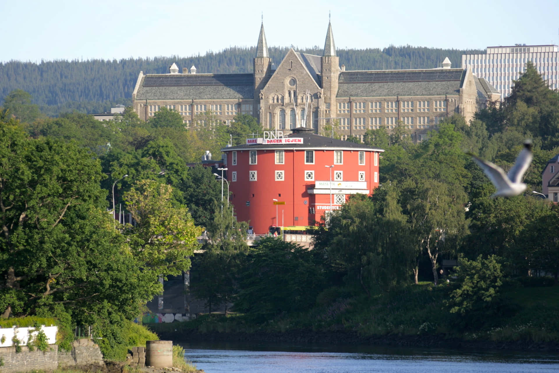 Architectuur Aan De Rivierfront Van Trondheim Achtergrond