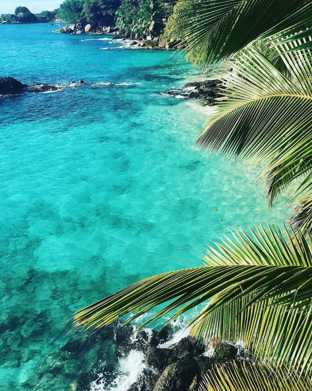 ¡déjatellevar Por La Belleza De La Isla Tropical! Fondo de pantalla
