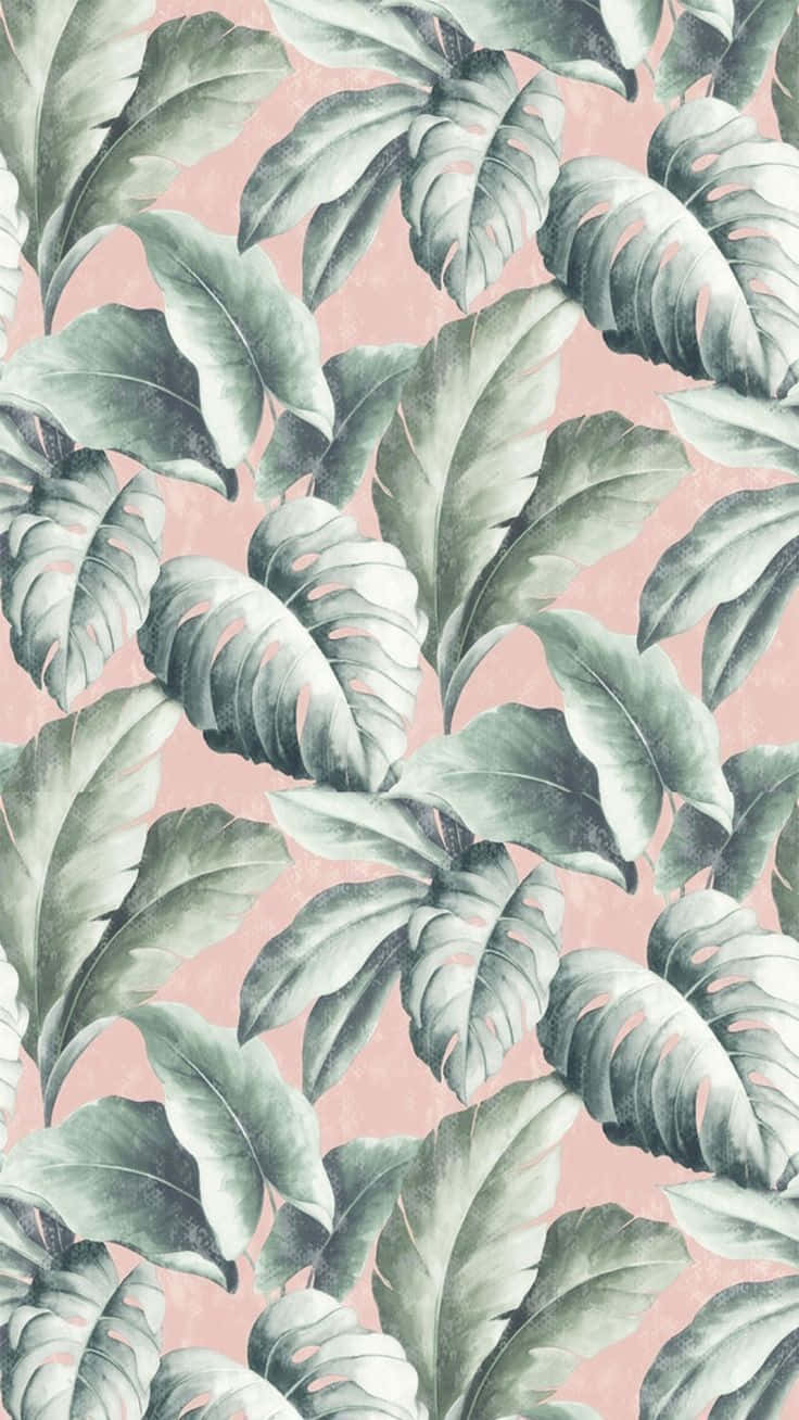 Skøn tropisk æstetik Wallpaper