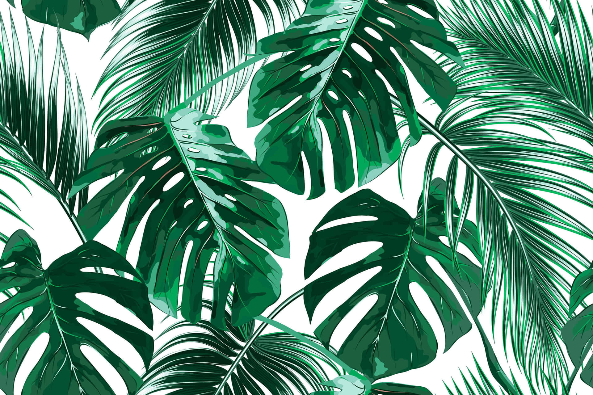 Tropical Leaves On A White Background Wallpaper