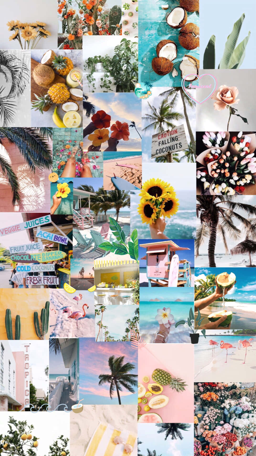 Tropical Aesthetic Collage Wallpaper